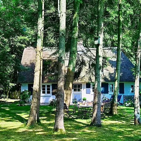Ferienhaus Küstenwäldchen