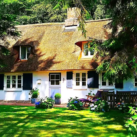 Feriehus Kuestenwaeldchen Rabenkirchen-Faulück