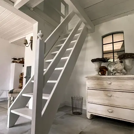 Kuestenwaeldchen * Rabenkirchen-Faulück