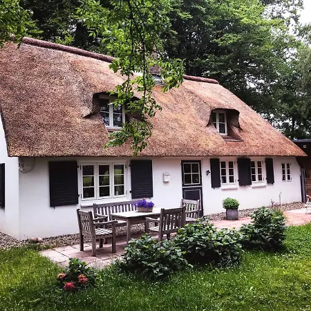 Küstenwäldchen * Rabenkirchen-Faulück